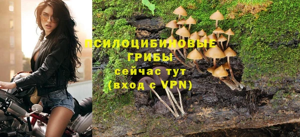 spice Абинск