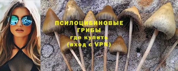 прущая мука Абаза